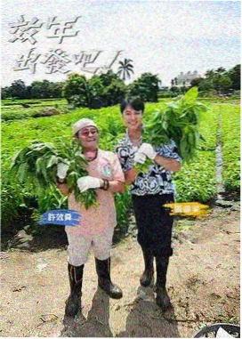 声生不息·宝岛季 国产综艺